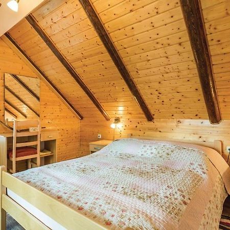 Apartman"Zibar" Skrad Esterno foto